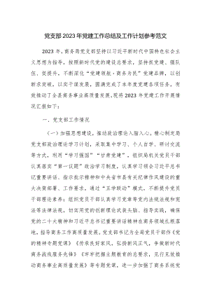 党支部2023年党建工作总结及工作计划参考范文.docx