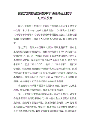 在党支部主题教育集中学习研讨会上的学习交流发言.docx