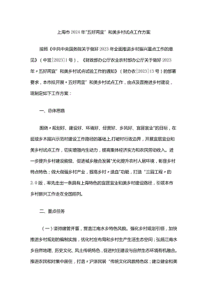 上海市2024年“五好两宜”和美乡村试点工作方案.docx