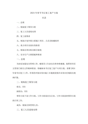 2024年化工企业春节节后复工复产专项方案 （汇编5份）.docx