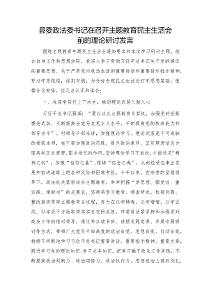 （会前）政法委书记在主题教育专题民主生活会前的理论研讨发言.docx