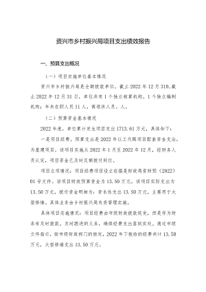 资兴市乡村振兴局项目支出绩效报告.docx