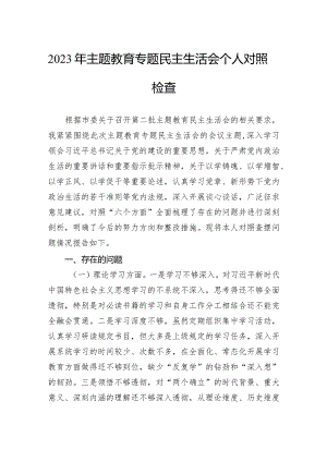 2023年主题教育专题民主生活会个人对照检查.docx
