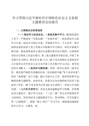 乡镇2023年第二批主题教育总结报告.docx