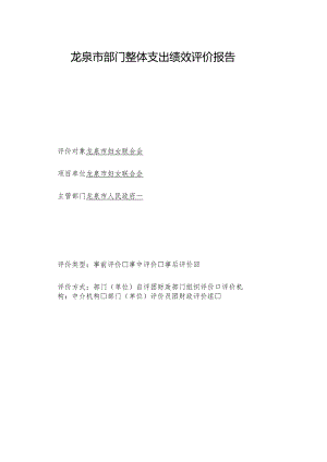 龙泉市部门整体支出绩效评价报告.docx