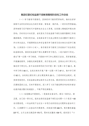 集团纪委纪检监察干部教育整顿阶段性工作总结.docx