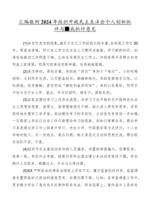 汇编数例2024年组织开展民主生活会个人剖析批评与自我批评意见.docx
