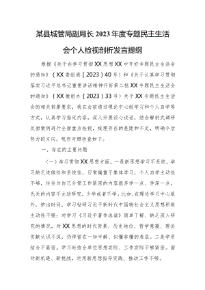 某县城管局副局长2023年度专题民主生活会个人检视剖析发言提纲.docx