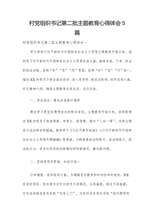 村党组织书记第二批主题教育心得体会5篇.docx