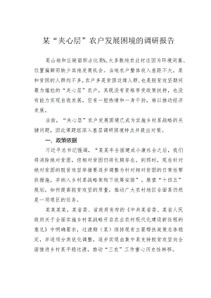 某“夹心层”农户发展困境的调研报告.docx