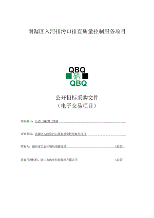 入河排污口排查质量控制服务项目招标文件.docx