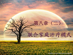 个案工作——萨提亚家庭治疗模式.ppt