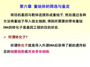 第六章重组体的筛选与鉴定.ppt.ppt