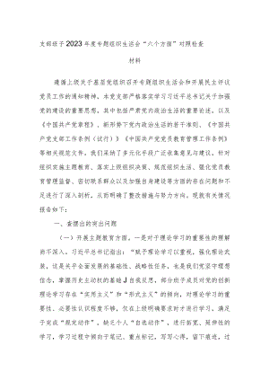 支部班子2023年度专题组织生活会“六个方面”对照检查材料.docx