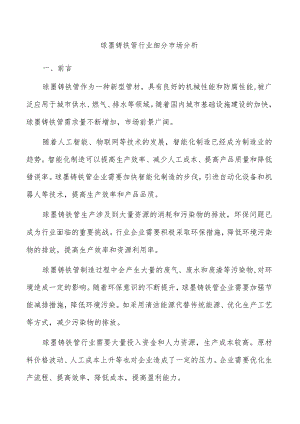 球墨铸铁管行业细分市场分析.docx
