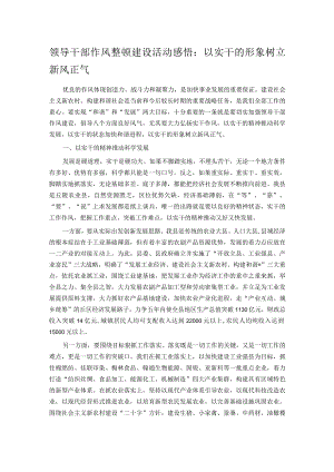 领导干部作风整顿建设活动感悟：以实干的形象树立新风正气.docx