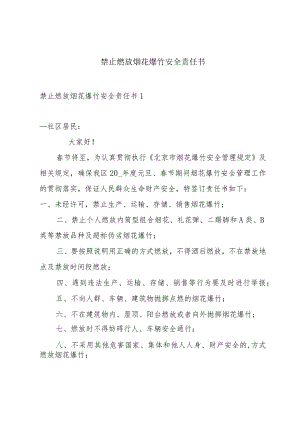禁止燃放烟花爆竹安全责任书.docx