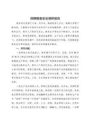 保障粮食安全调研报告.docx