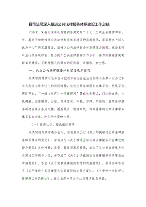 县司法局深入推进公共法律服务体系建设工作总结.docx
