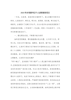 2023年乡党委书记个人述职报告范文.docx