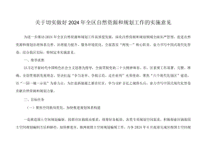 关于切实做好2024年全区自然资源和规划工作的实施意见.docx