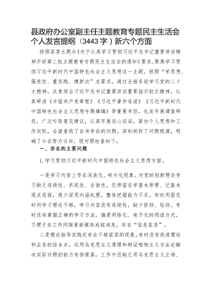 县政府办公室副主任主题教育专题民主生活会个人发言提纲（践行宗旨等6个方面）.docx