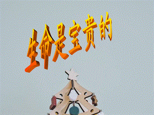 课件生命是宝贵的.ppt