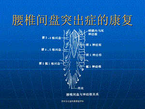 (康复医学科)腰椎间盘突出症的康复.ppt