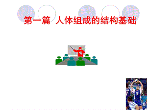 01细胞与细胞间质.ppt.ppt
