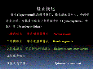 【精品PPT】1猪肉绦虫.ppt