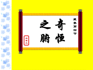 27奇恒之腑脏腑关系.ppt