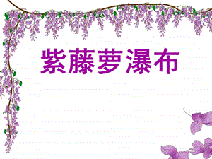 紫藤萝瀑布(公开课).ppt
