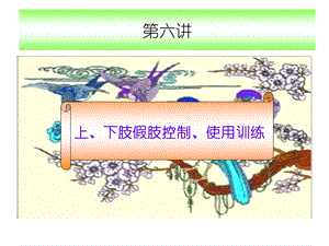 6第六讲上、下肢假肢控制、使用训练.ppt