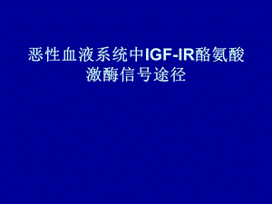 IGFIR酪氨酸激酶.ppt