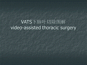 vats肺叶切除.ppt