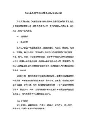 加快推进基本养老服务体系建设实施方案.docx