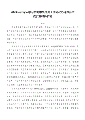 2023年在深入学习贯彻中央经济工作会议心得体会交流发言材料多篇.docx