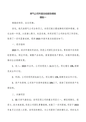 燃气公司年度总结报告模板.docx