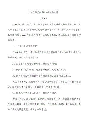 个人工作总结2023年（共6篇）.docx