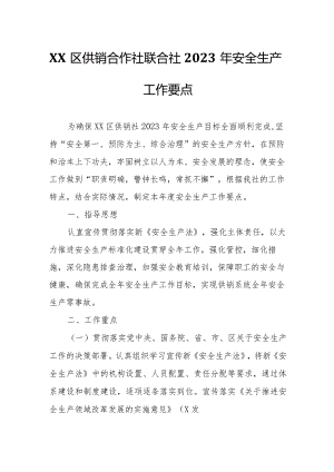 XX区供销合作社联合社2023年安全生产工作要点.docx