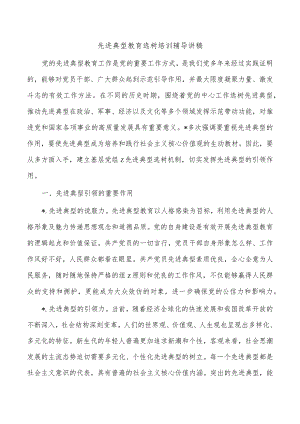 先进典型教育选树培训辅导讲稿.docx