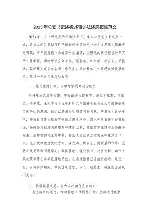 2023年总支书记述德述责述法述廉报告范文.docx