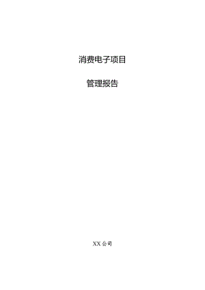 消费电子项目管理报告.docx