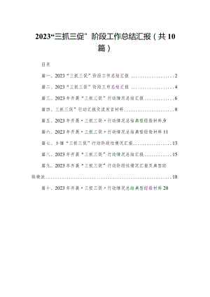 （10篇）“三抓三促”阶段工作总结汇报通用.docx