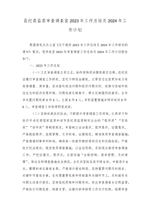 县纪委监委审查调查室、财政局2023年工作总结及2024年工作计划（2篇）.docx