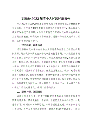 副局长2023年度个人述职述廉报告.docx