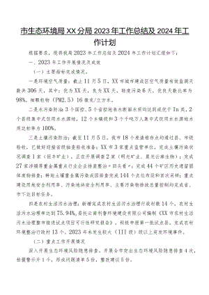 市生态环境局XX分局2023年工作总结及2024年工作计划.docx