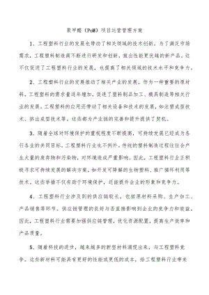聚甲醛（POM）项目运营管理方案.docx