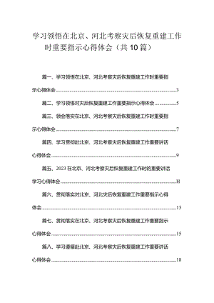 学习领悟在北京、河北考察灾后恢复重建工作时重要指示心得体会（共10篇）.docx