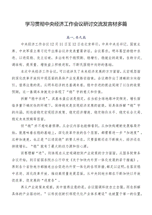 学习贯彻中央经济工作会议研讨交流发言材多篇.docx